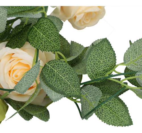 Guirnalda De Rosas De Champán, Enredaderas, Naturalmente Rom