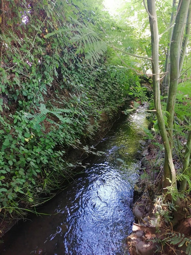 Parcela En San Carlos Sector Quilelto Con Derechos De Agua