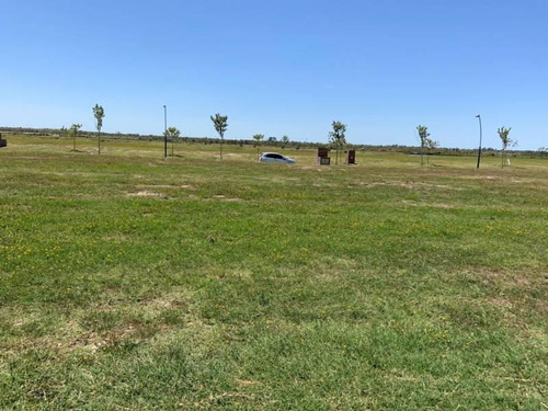 Imagen 6 de 12 de Venta Lote Costas Al Lago. Financiado
