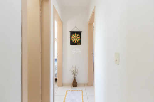 Apartamento - Residencial - 926795