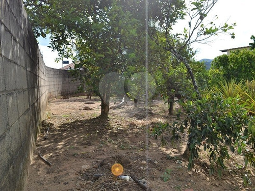 Imagem 11 de 15 de Terreno Residencial À Venda, Castelo, Amparo. - Reo328964