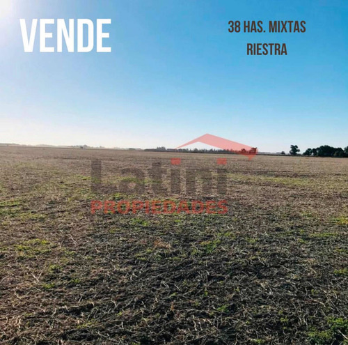 Imagen 5 de 6 de Campo 38 Ha. Mixto
