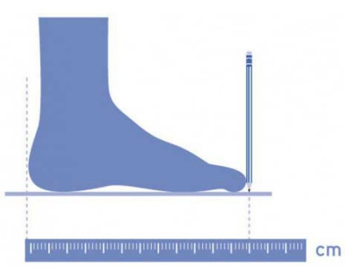 Imagen 7 de 7 de Zapatilla De Lona Con Caña