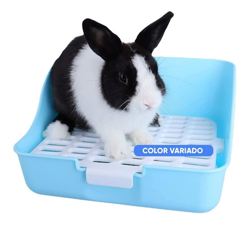 Imagen 2 de 10 de Litera Bandeja Sanitaria Baño Conejo Cobayo Huron Roedores