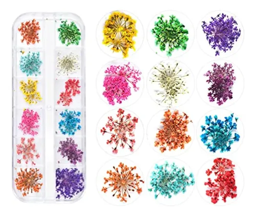 Teoyall 24 Colores De Flores Secas Para Arte De Uñas, 2