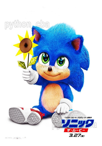 Pósters Película Sonic The Hedgehog - 2020 - 42x30 Cm