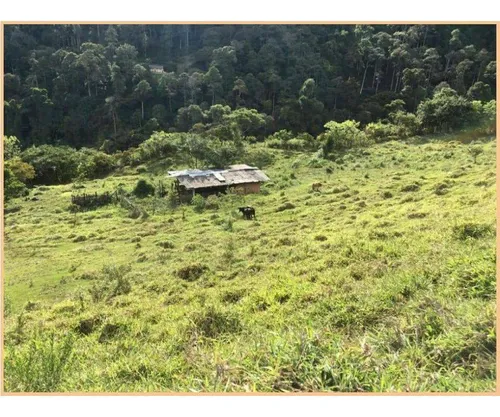 Vendo Finca De 18 Cuadras Para Ganado Y Cerdos A 15 Minutos D Fredonia