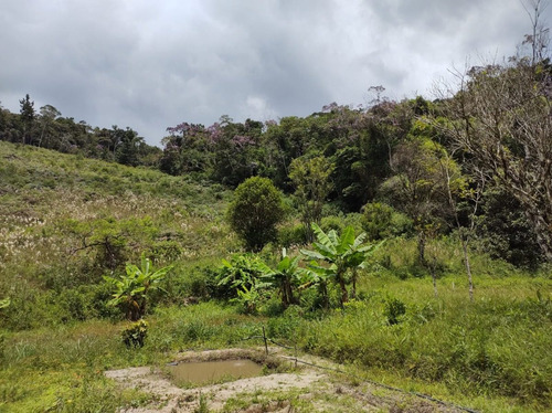 Imagem 15 de 25 de Juquitiba/sitio Com Lago/bom Para Plantar Ou Criar