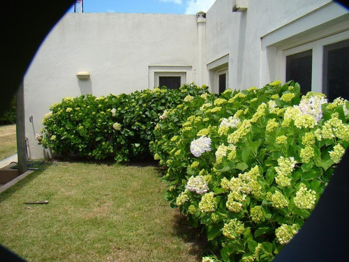 Siroco