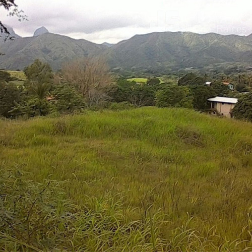 Imagen 4 de 7 de Terreno En Venta/ San Juan De Los Morros/ 04128859981