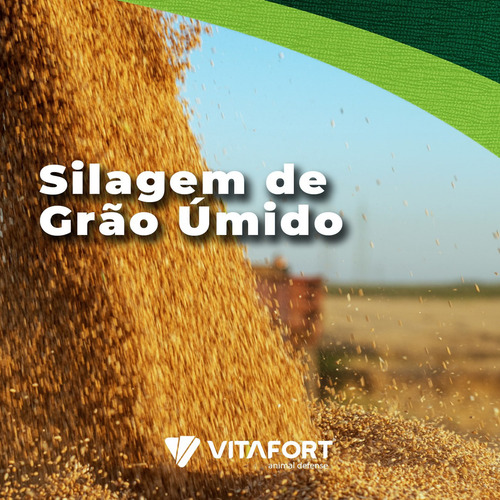 Inoculante Para Silagem De Capim, Milho, Sorgo E Cana