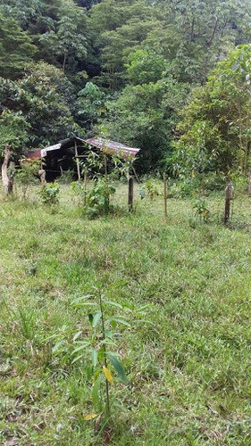 Imagen 8 de 12 de Lotes En Venta Via Restrepo 476-2534