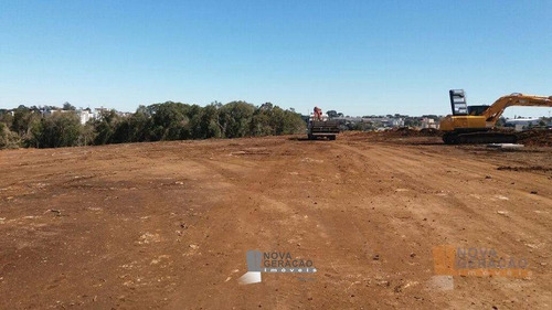 Imagem 3 de 6 de Terreno À Venda, 345 M² Por R$ 150.000,00 - De Lazzer - Caxias Do Sul/rs - Te0105