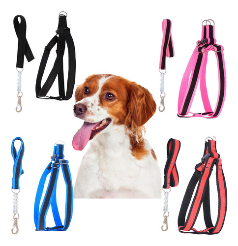 Coleira Peitoral Cachorro + Guia Com Amortecedor De Brinde