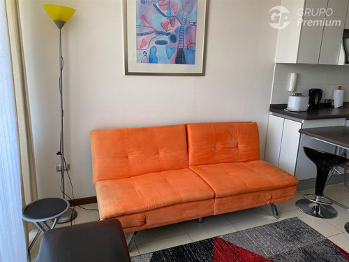 Arriendo Hasta Diciembre 2d-2b