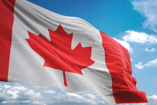 Gq Bandera Canada Maple 1.5m X 90cm Interior Exterior Asta