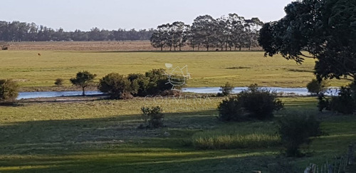 Imagen 11 de 13 de Campo De 20 Has Muy Cerca Del Faro Jose Ignacio - Consulte !!!!!! - Jose Ignacio