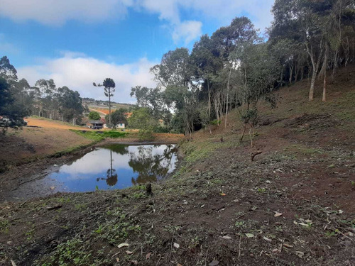 Imagem 2 de 7 de Aqui Tem Terrenos Ótimos, 1000m² De Área Útil