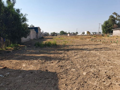 Terreno  En Renta Texcoco