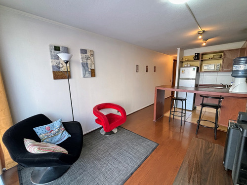 Amoblado 1 Dormitorio Para Agosto 2025