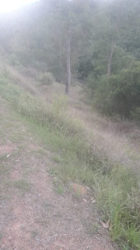 Imagem 24 de 25 de Terreno À Venda, 1091 M² Por R$ 120.000,00 - Santa Isabel - Viamão/rs - Te0070