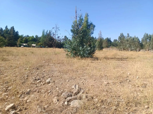 En Venta Parcela 2,5 Hectareas Codegua