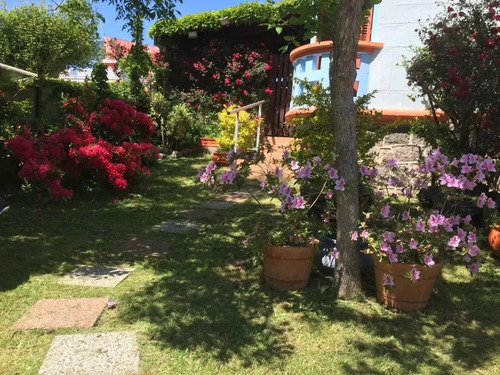 Casa En Alquiler En Piriapolis Con Parque Arbolado, Barbacoa Con Heladera Y Comedor Para 10 Personas