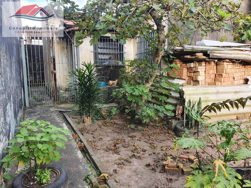 Imagem 4 de 15 de Terreno 293m² Excelente Localização - Vila Augusta - 78
