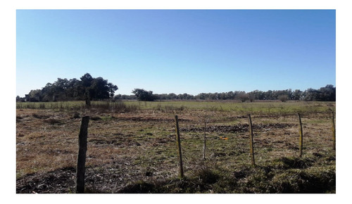 Imagen 23 de 25 de Terreno Campo En Venta Ubicado En Bragado, Resto De La Provincia