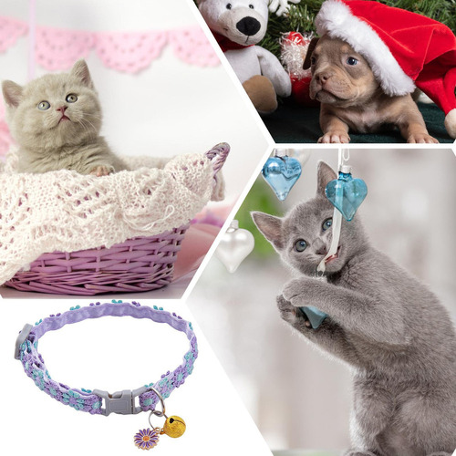 * Breakaway De Collar De Gato Collares De Gato De Seguridad