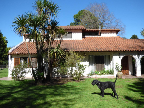 Imagen 2 de 30 de Casa De 3 Dormitorios En Villa Elisa Calle 28 E / 409 Y 411 - Dacal Bienes Raíces