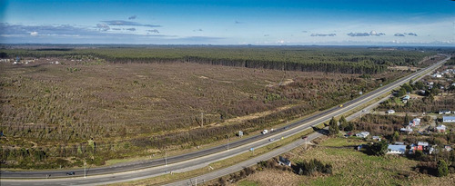 Agrícola En Venta En Calbuco