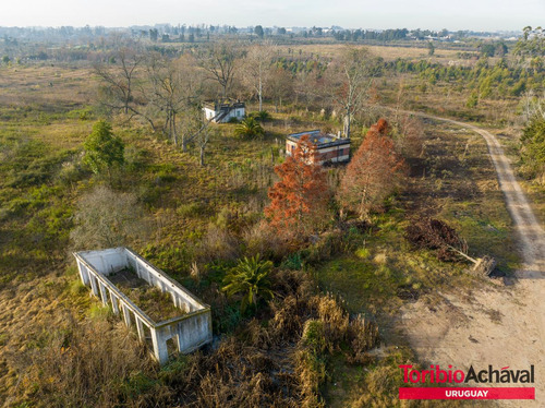 Venta Magnífico Terreno Para Urbanización En Zona De Barrios