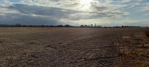 Imagen 2 de 17 de Campo 250 Hs 175 Laborables A 39 Km De Jesús María