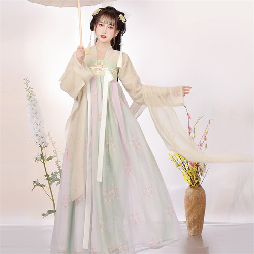 Traje Tradicional De La Dinastía Tang Para Mujer Hanfu Qixio