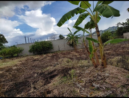 Imagen 2 de 9 de En Venta Terreno En Macomaco San Diego