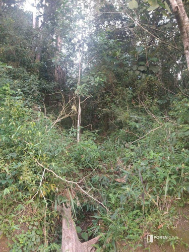 Terreno À Venda, 960 M² Por R$ 265.000,00 - Jardim Dos Ypês - Embu Das Artes/sp - Te0275