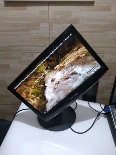 Monitor Samsung 19 Polegadas Entrada Vga Pedestal Giratório! (Usado)
