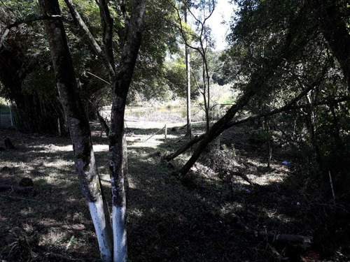 Imagem 2 de 4 de Com Área De 10.283 M² Cercada, Terreno Limpo, Platô Pronto