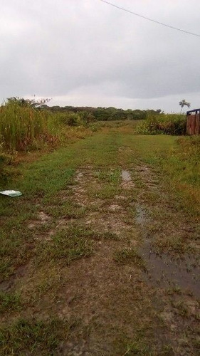 Lote Em Itanhaém 1.040m² Lado Praia. 3203e