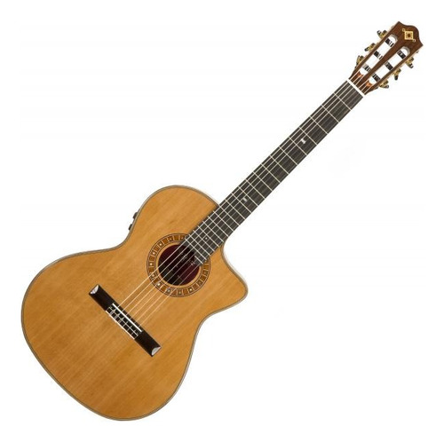 Guitarra Electroacustica Nylon Martinez Mp-14mh Pino Profesi