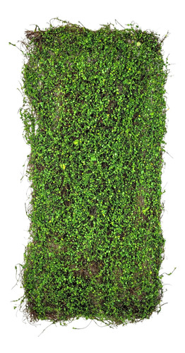Placa De Grama Paisagismo 90x40cm Jardim Vertical Artificial
