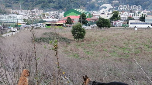 Sitio En Venta En Concepción