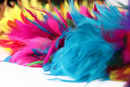 Imagen 4 de 6 de Plumero Sacudidor Pluma Natural Colores Largo 52cm ( 1 Pza )