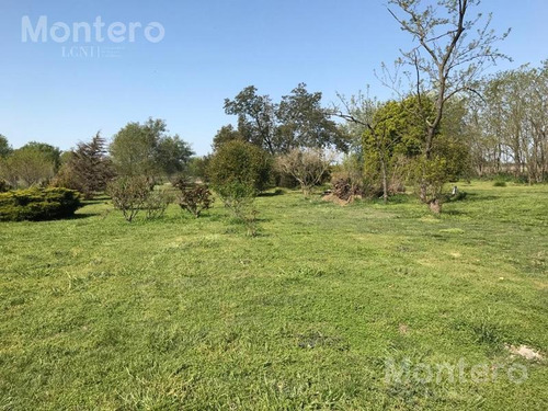 Imagen 17 de 25 de Venta Chacra San Miguel Del Monte