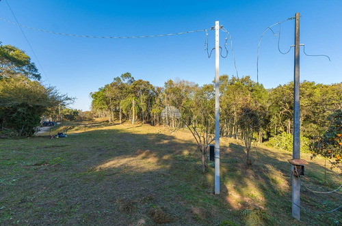 Imagem 23 de 30 de Chácara - Residencial - 936672