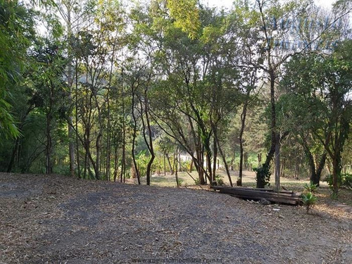 Imagem 12 de 29 de Chácaras À Venda Em Mairiporã/sp - Compre O Seu Chácaras Aqui! - 1469994