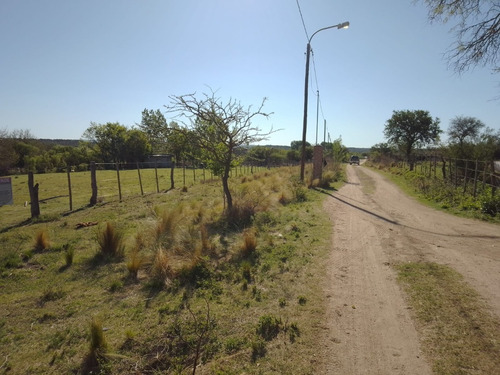 Imagen 3 de 17 de Oportunidad En Panaholma ! Hermosos Lotes De 1350 M2 A 300 Metros Del Rio