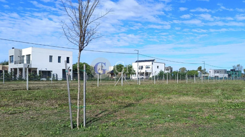 Lote En Venta En Santa Sofia, Pilar Del Este