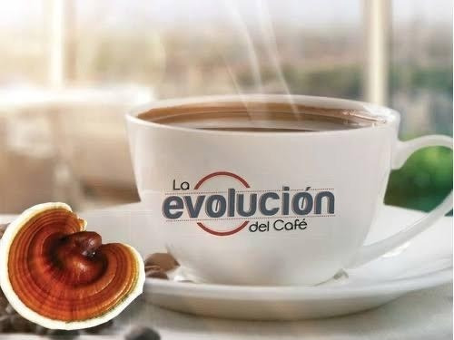 Ganoderma Lucidum 3-1 Gano Excel 3 Cajas (60sobres)
